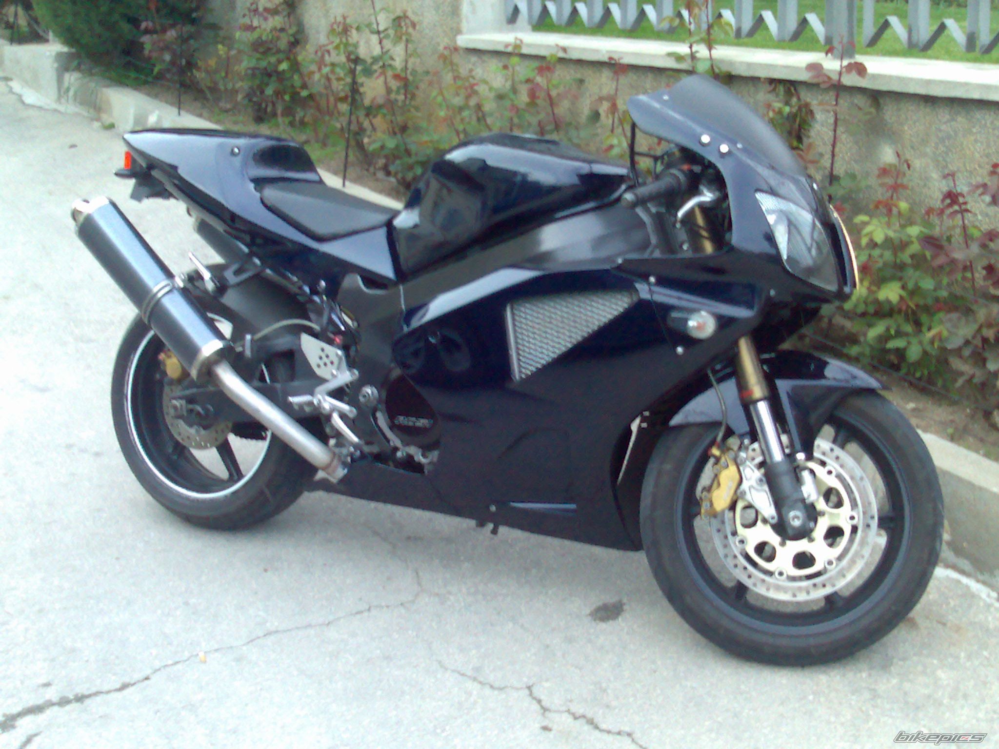 Photo 1275705