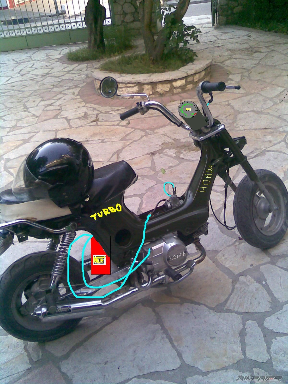 Photo 1275768