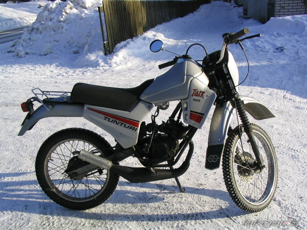 Photo 127578