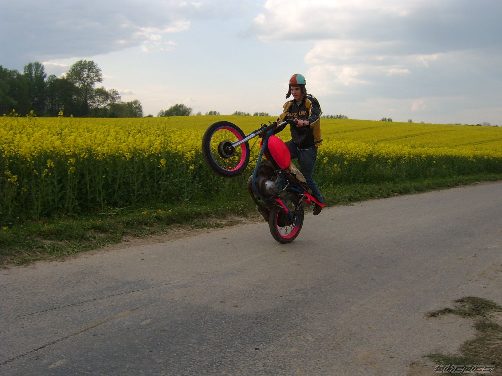 Photo 1275787