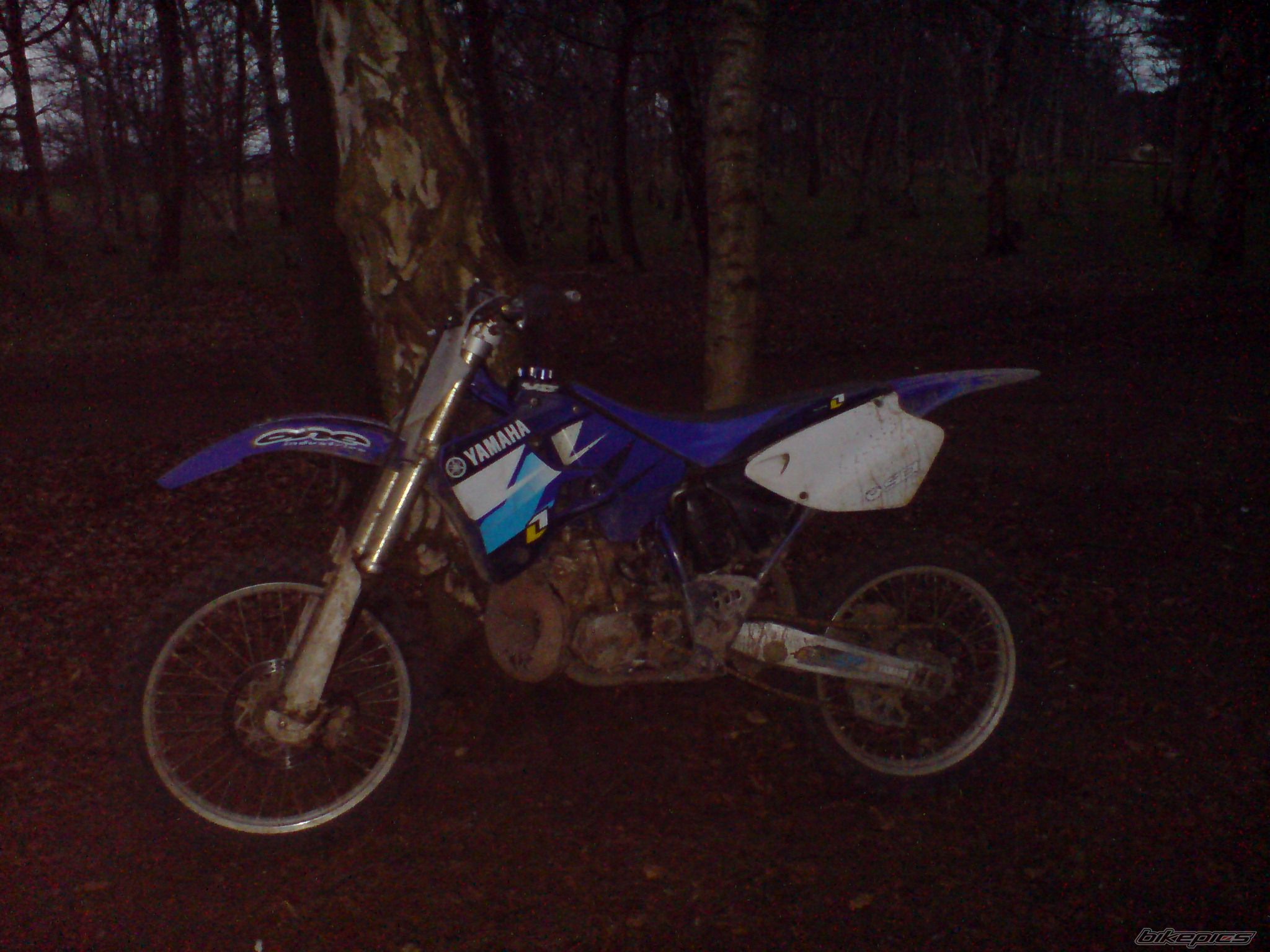Photo 1275801