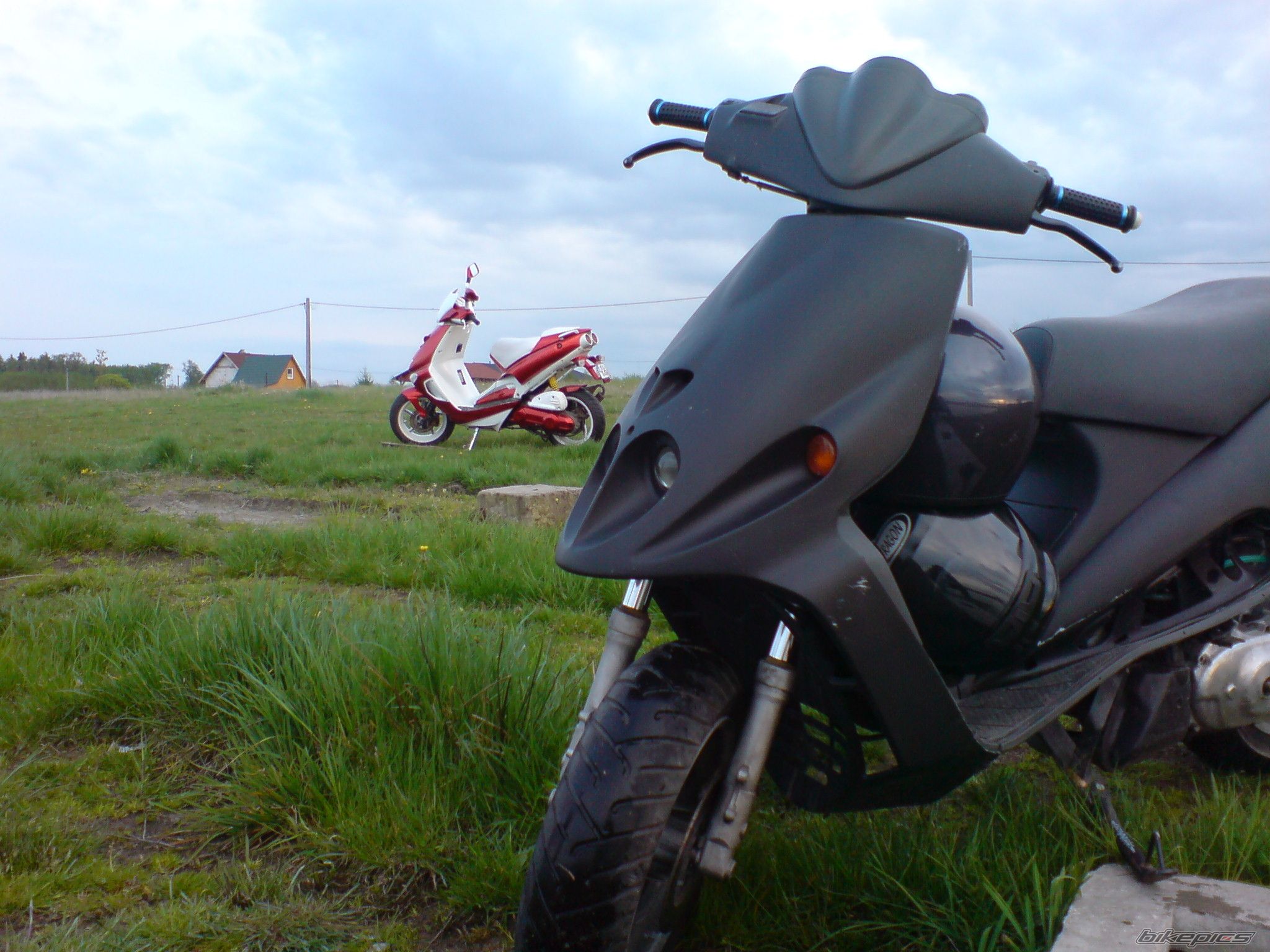 Photo 1275810