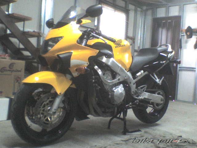 Photo 1275852