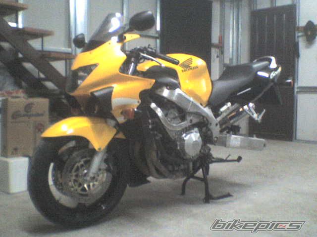 Photo 1275869