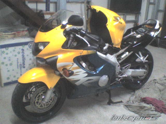 Photo 1275874