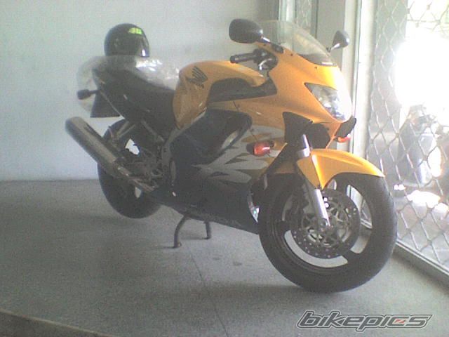 Photo 1275884