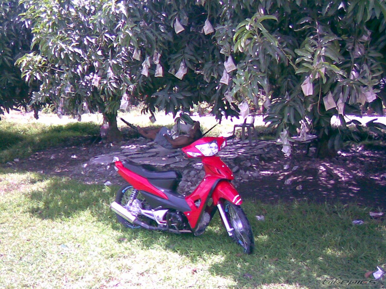 Bike Photo 1275911