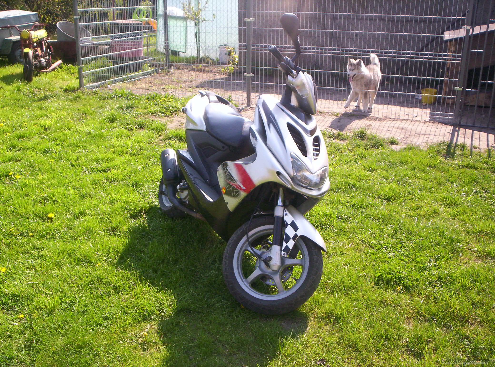 Photo 1275960