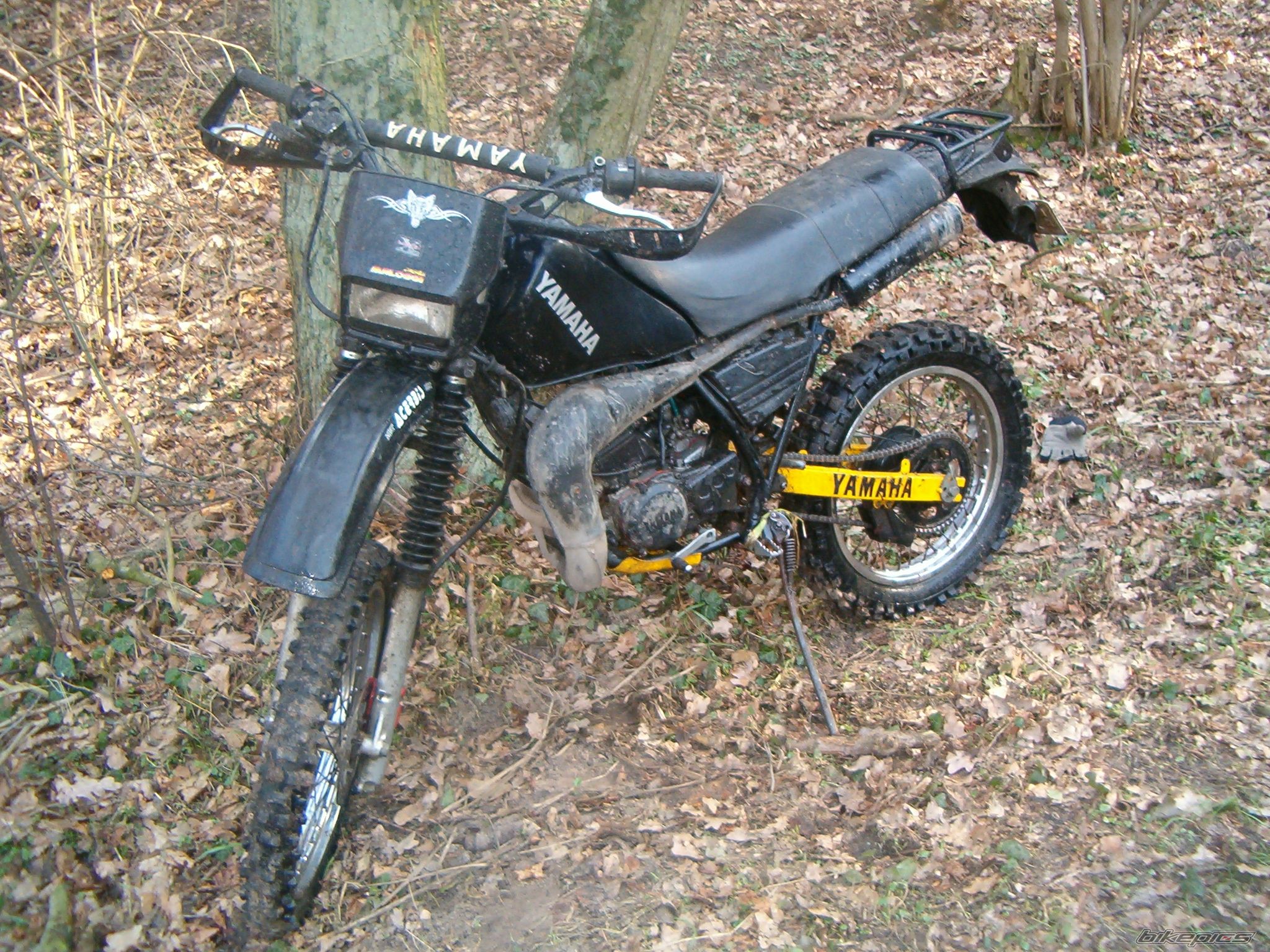 Photo 1276012