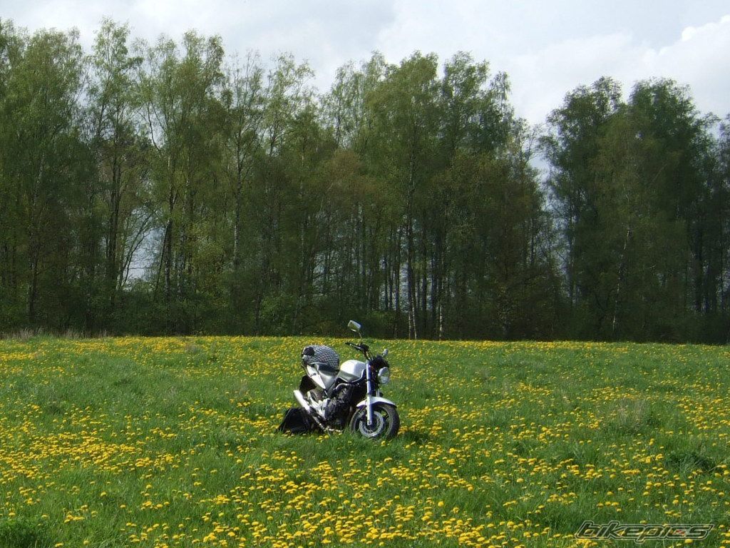 Bike Photo 1276281