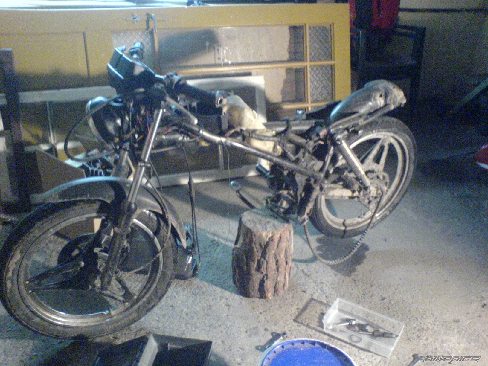 Photo 1276332