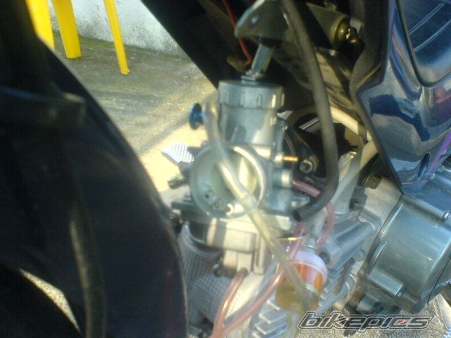 Photo 1276397