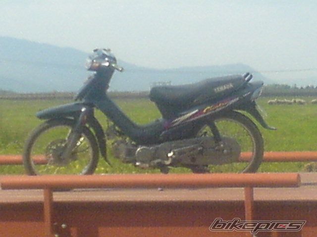 Photo 1276403