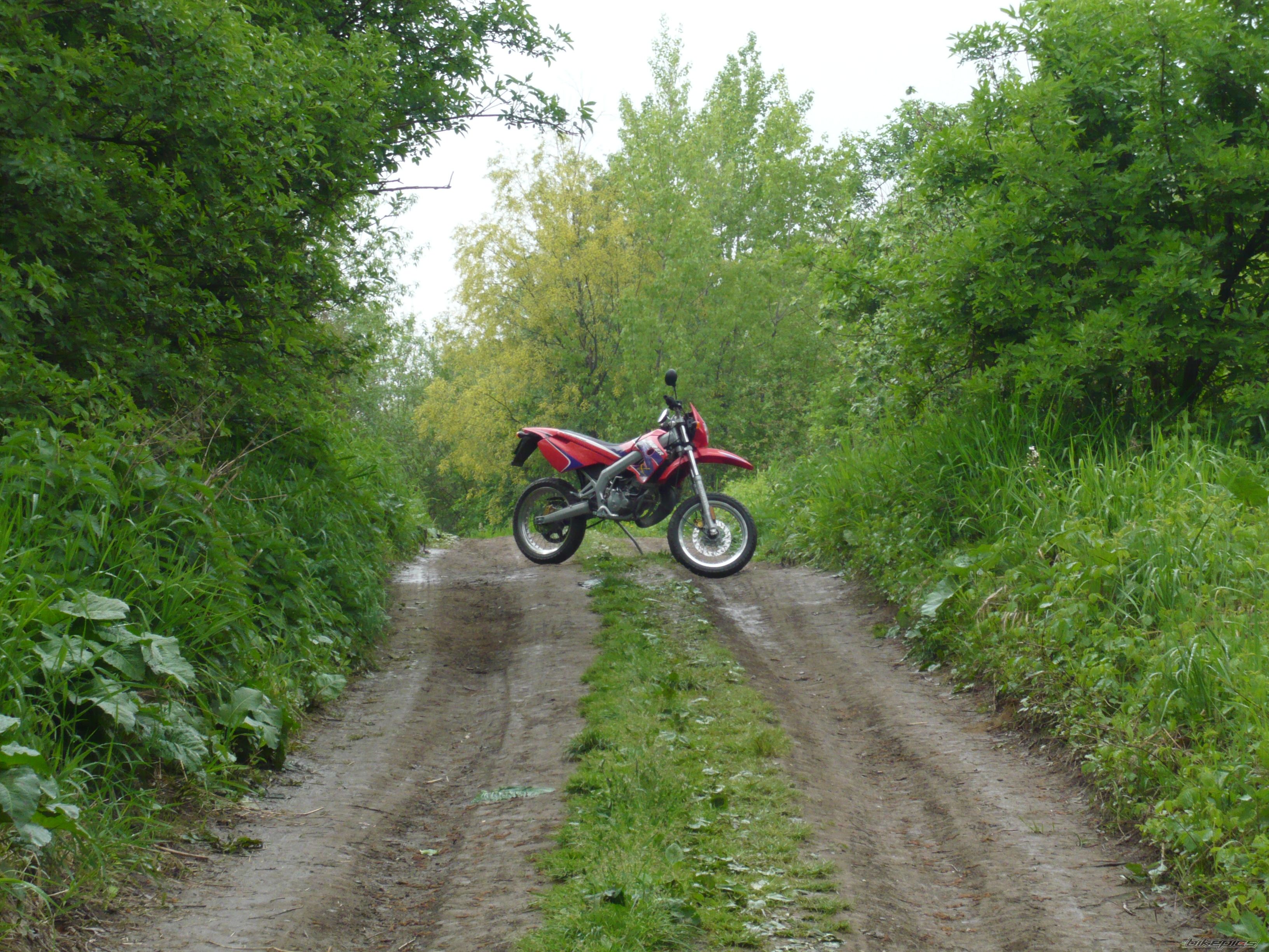 Photo 1276474
