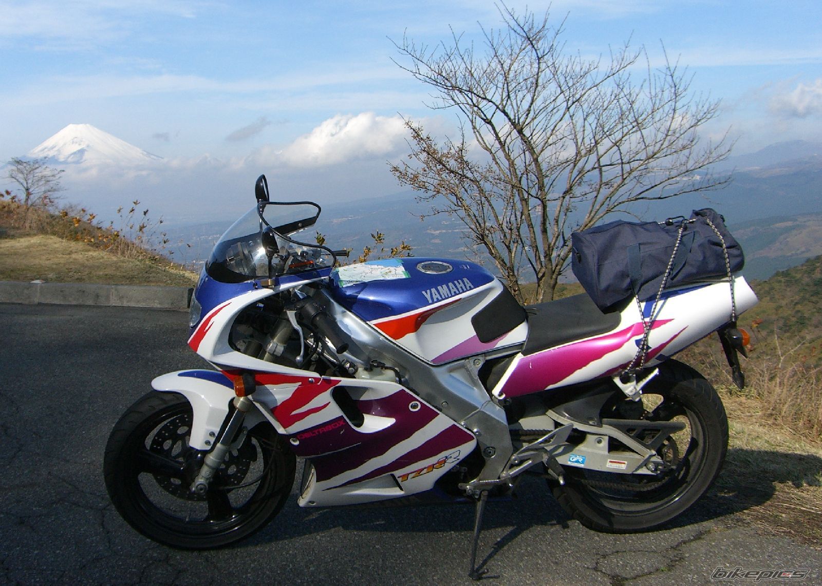 Photo 1276478