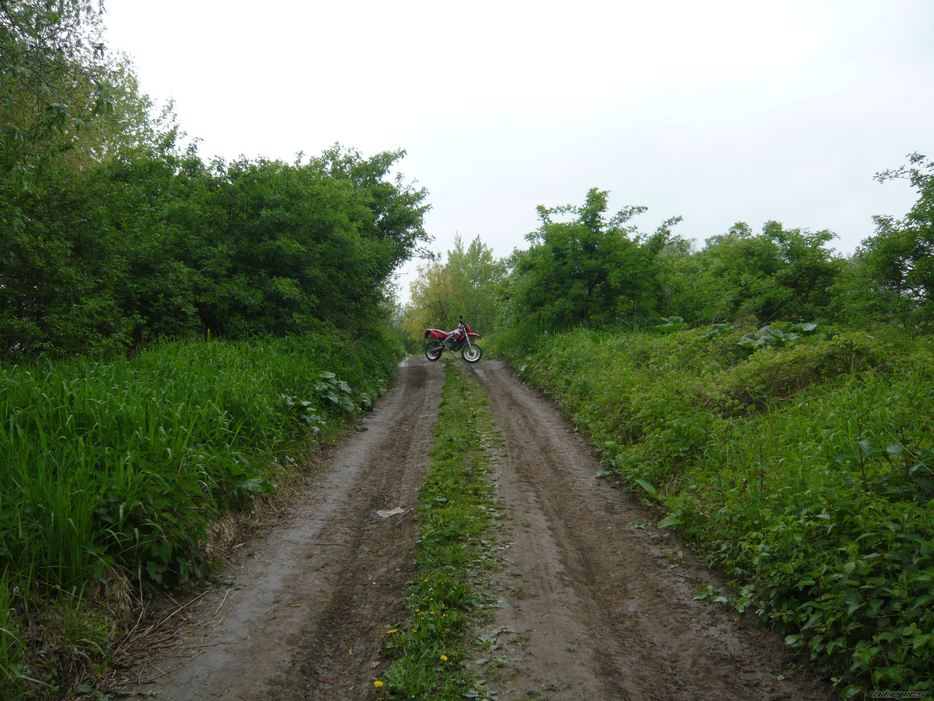 Photo 1276480