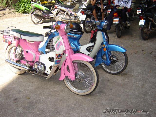 Photo 1276522