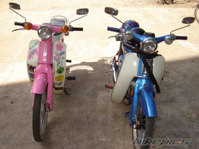Photo 1276523