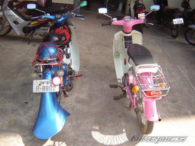 Photo 1276524