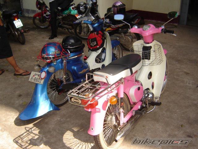 Photo 1276528