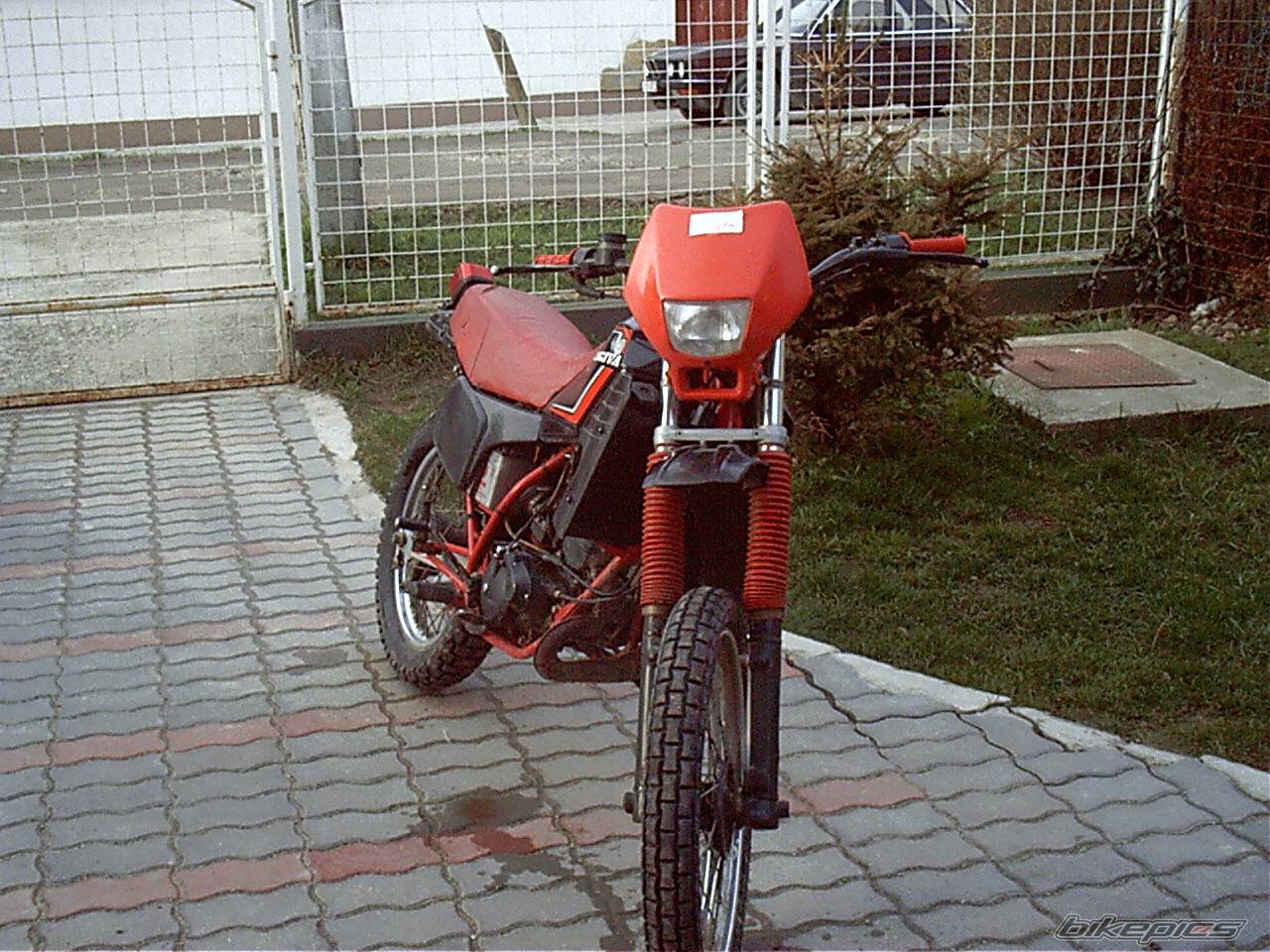 Photo 127666