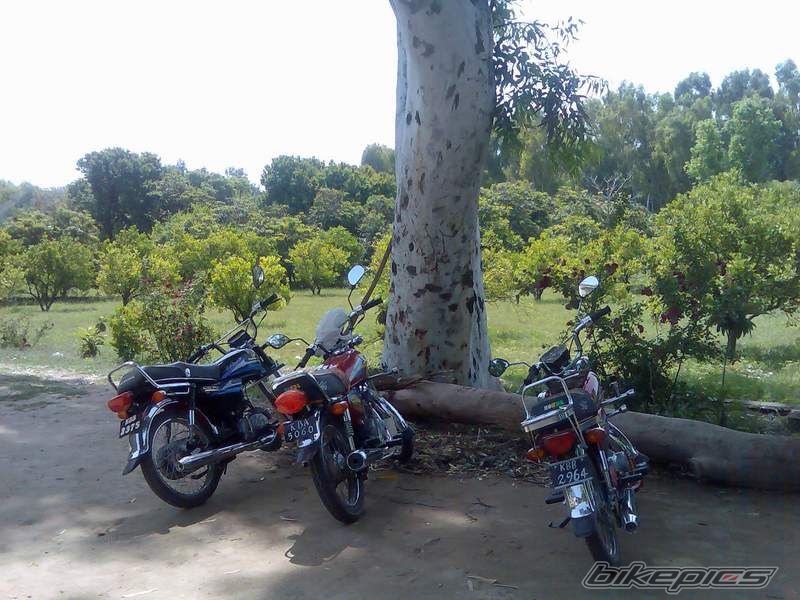 Photo 1276710