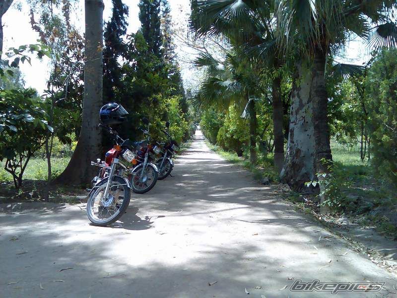 Photo 1276712
