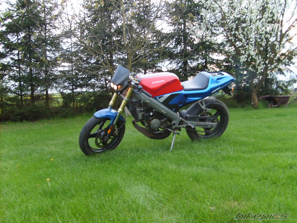 Photo 1276730