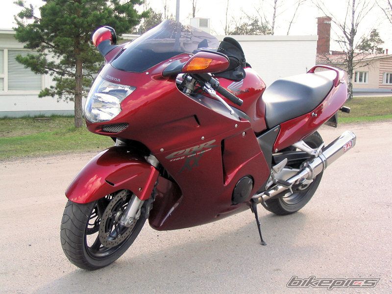 Photo 1276748