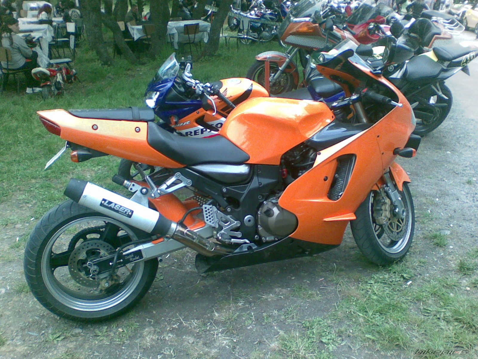 Photo 1276769