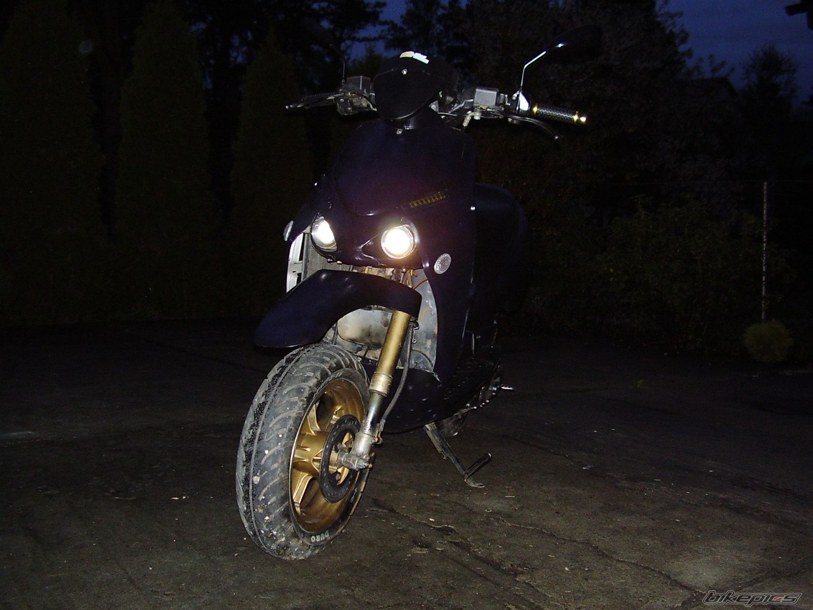 Photo 1276782