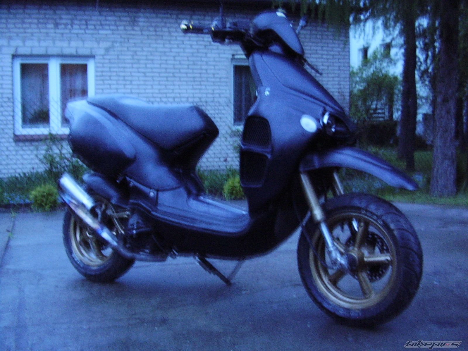 Photo 1276785