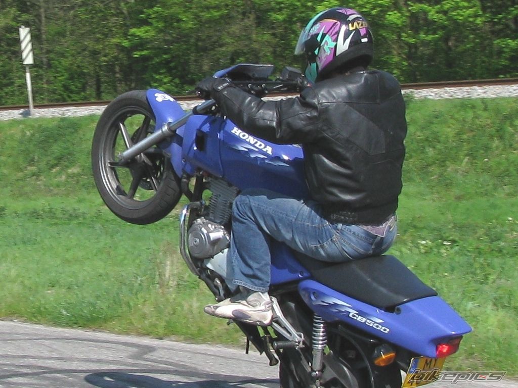 Photo 1276840