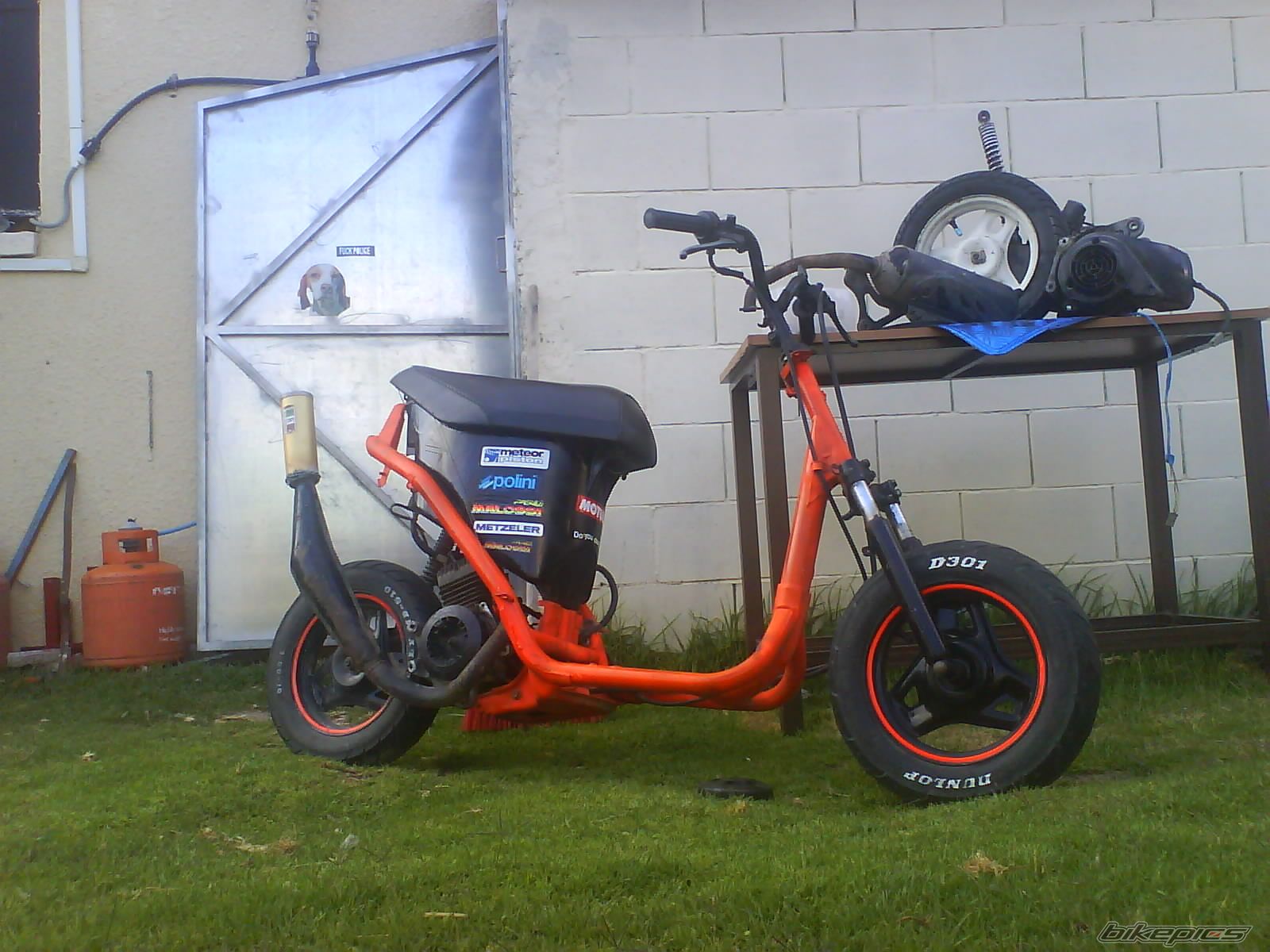 Photo 1276844