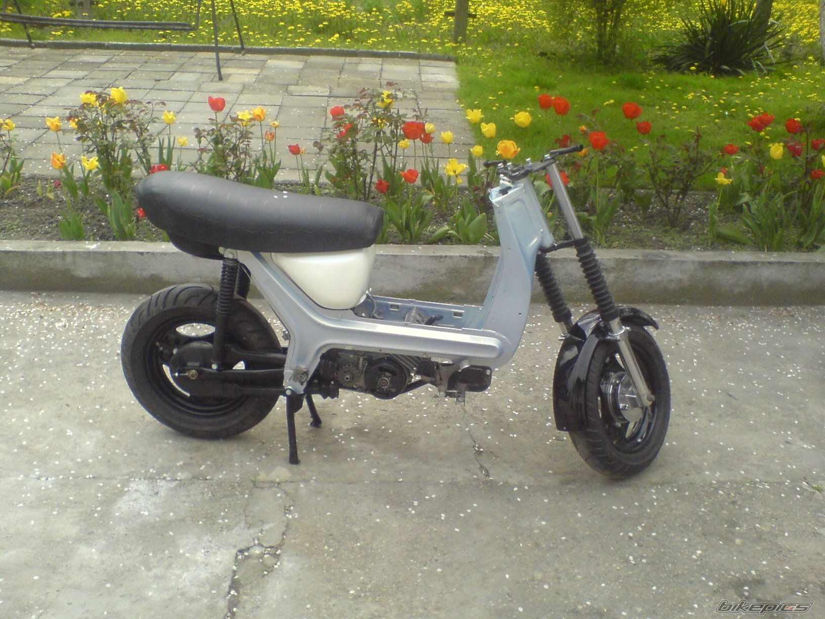 Photo 1276987