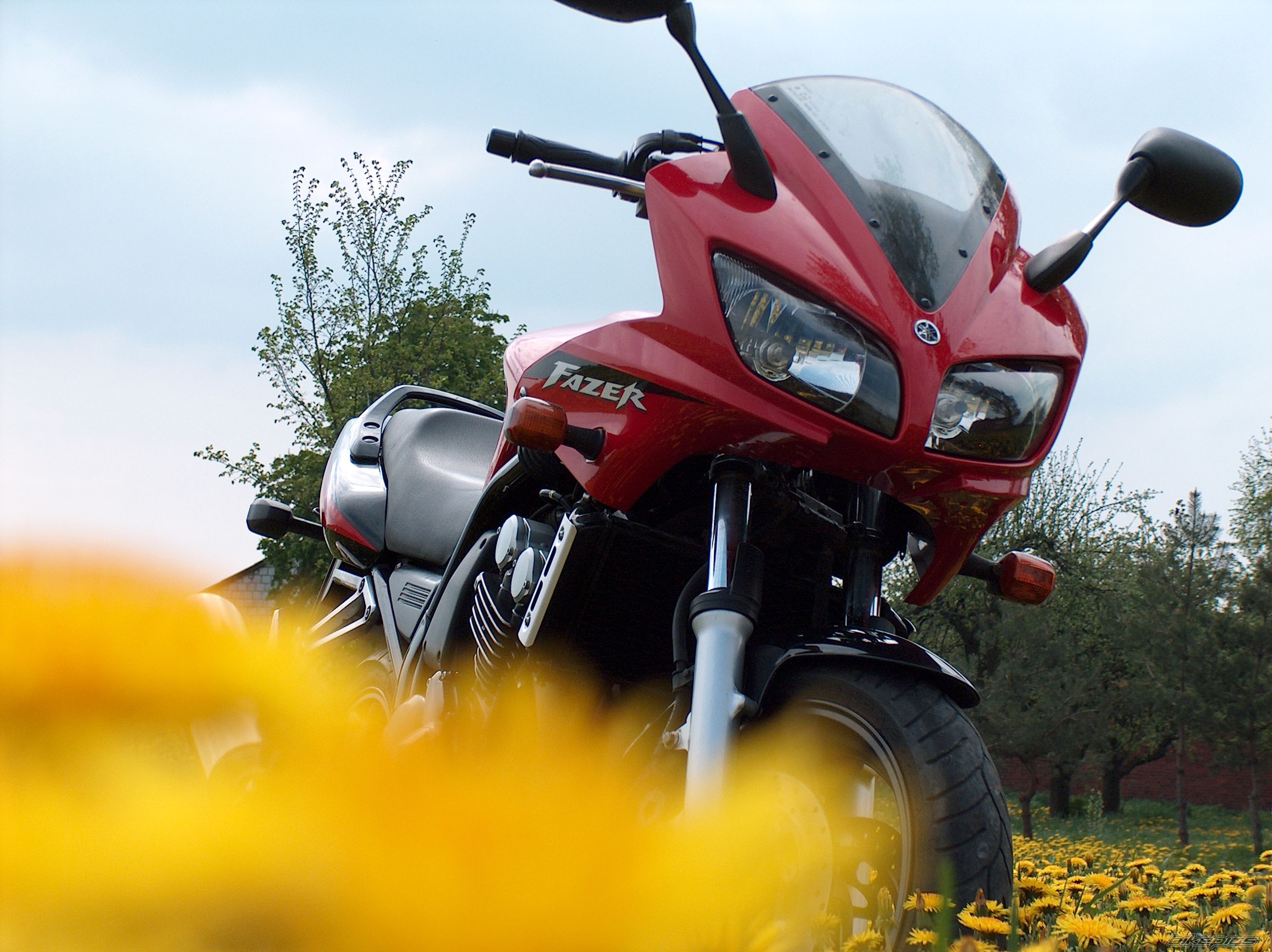 Bike Photo 1276994