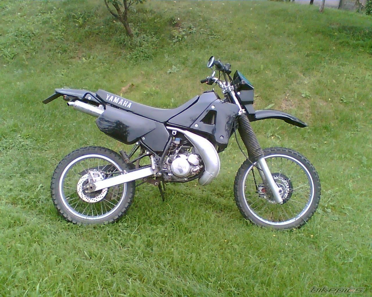 Photo 1277013