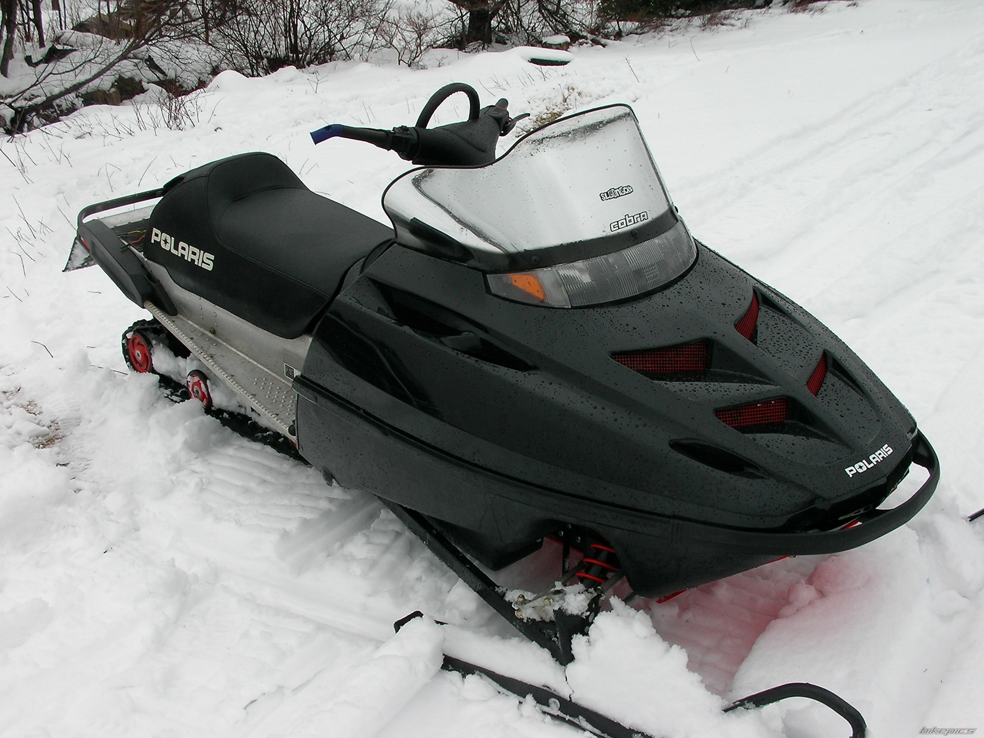 Photo 1277020