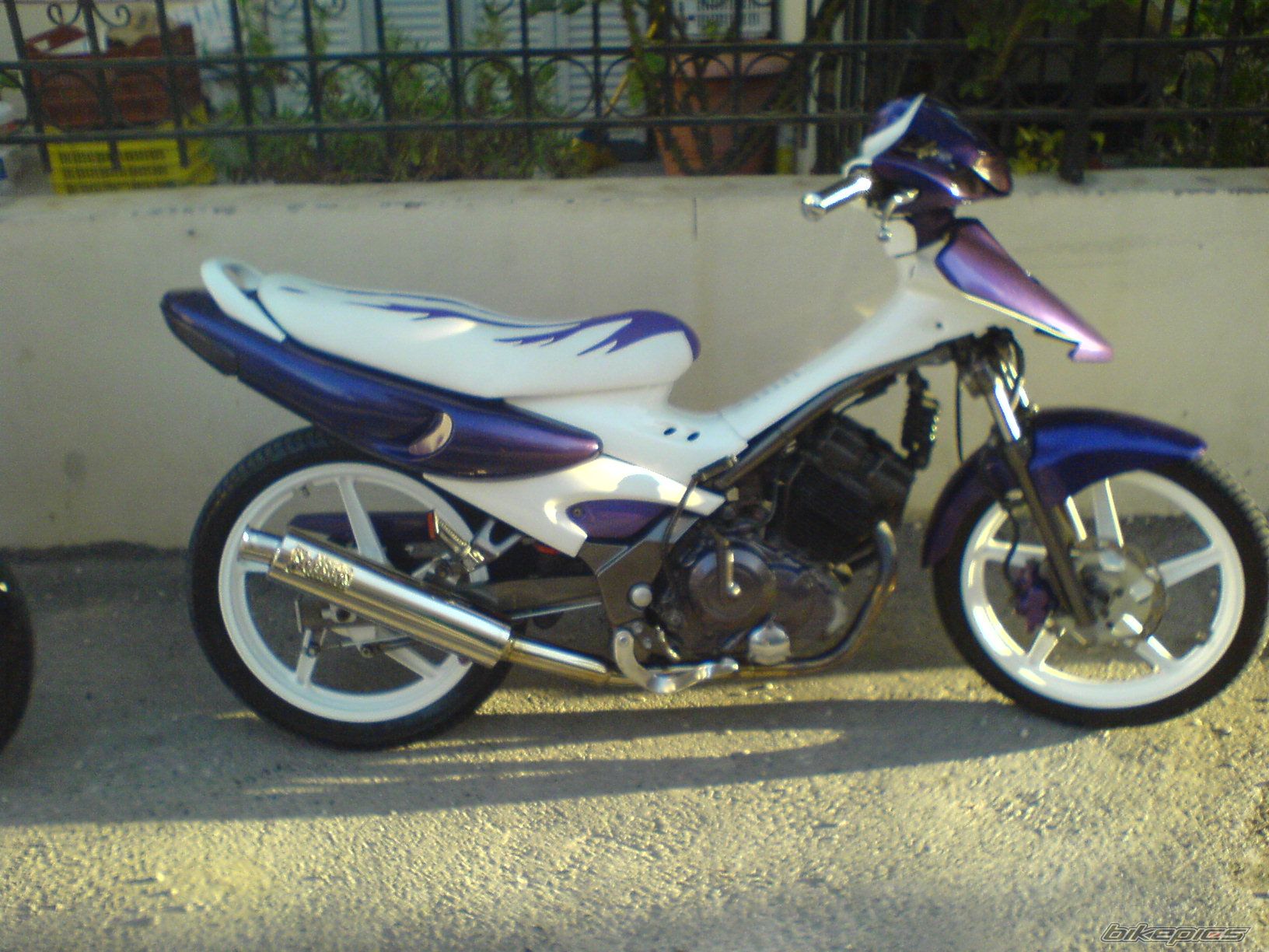 Photo 1277025