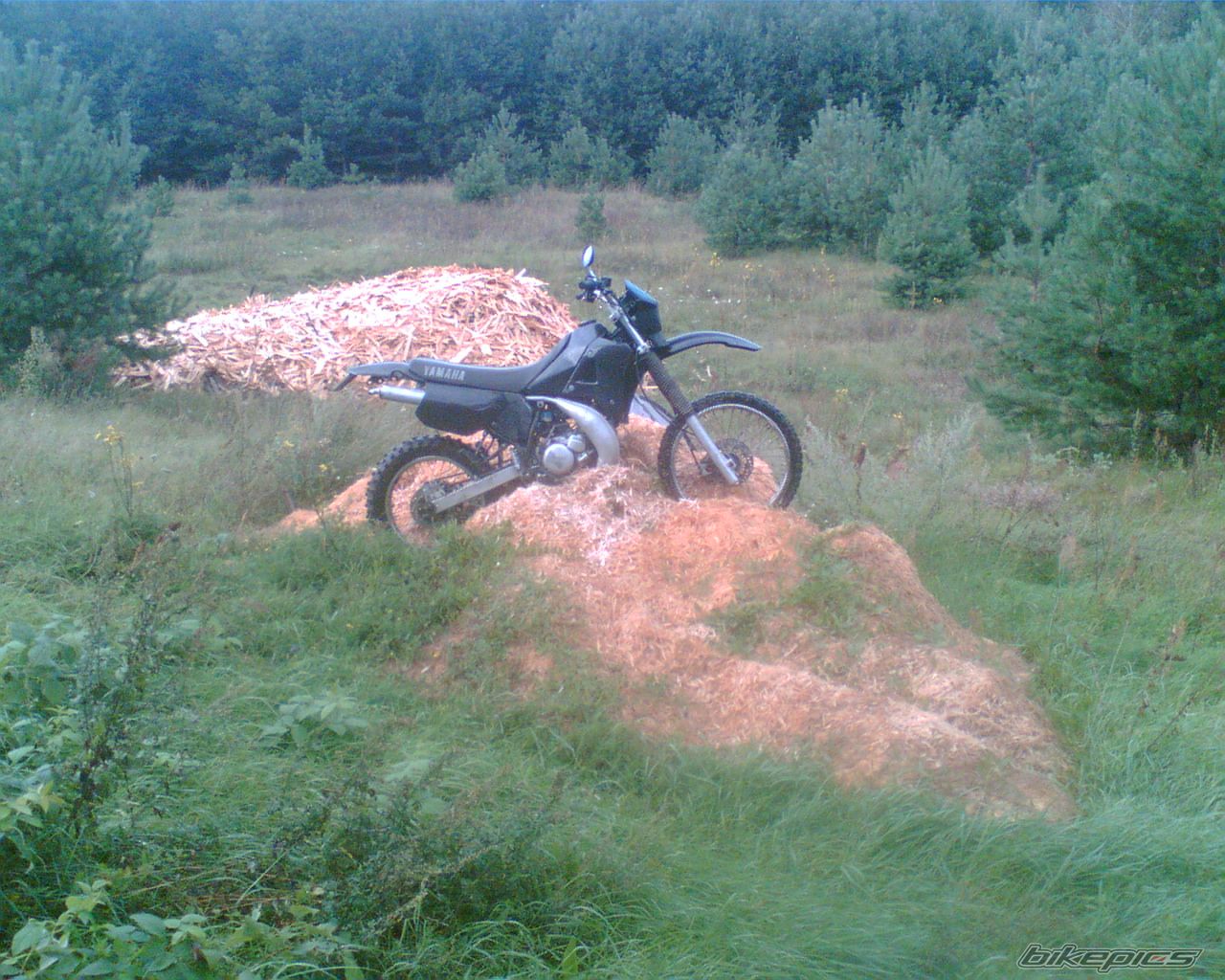 Photo 1277027