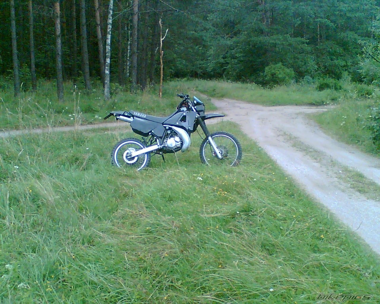 Photo 1277034