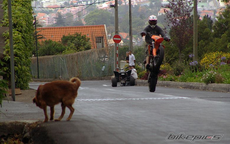 Photo 1277116