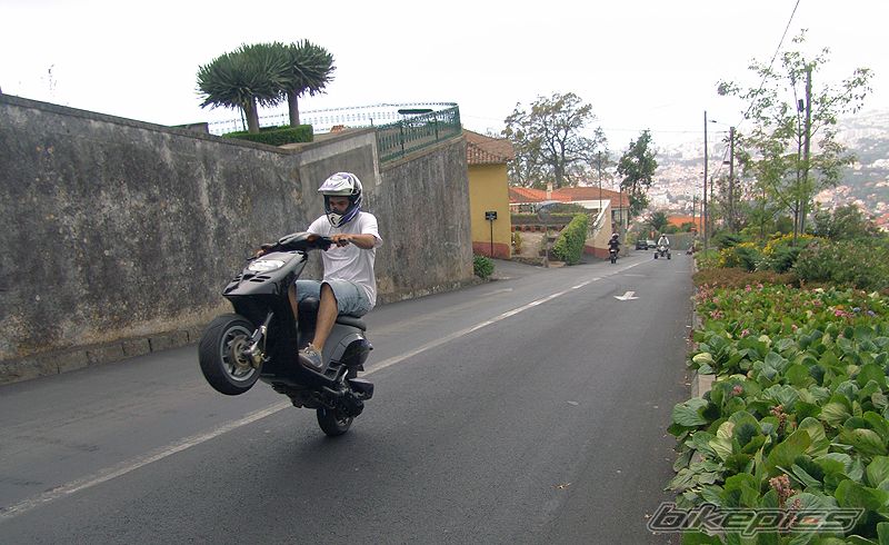 Photo 1277181