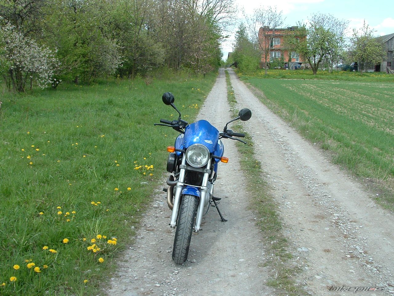 Photo 1277189
