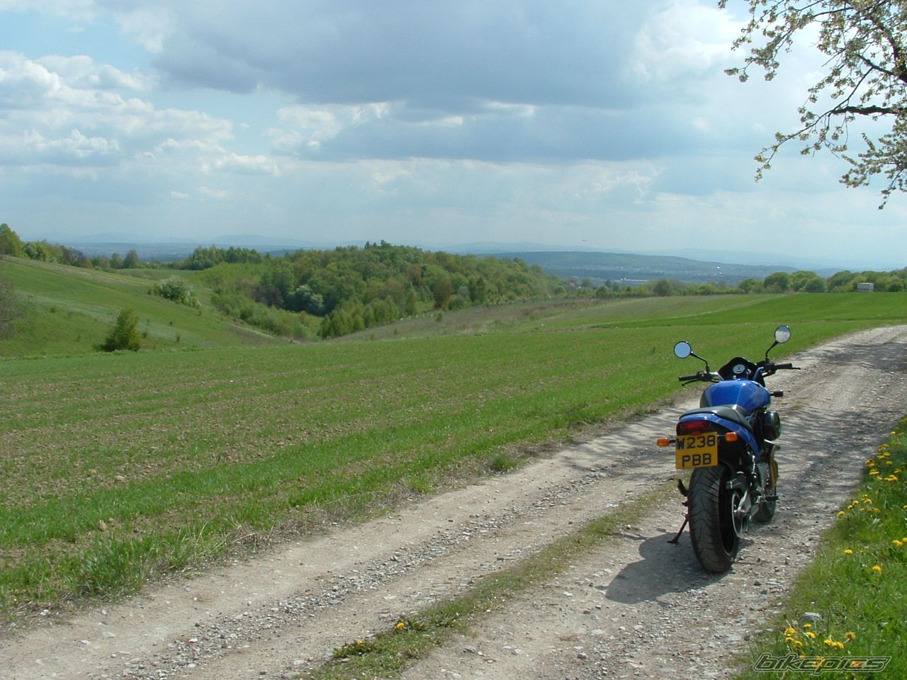 Photo 1277201