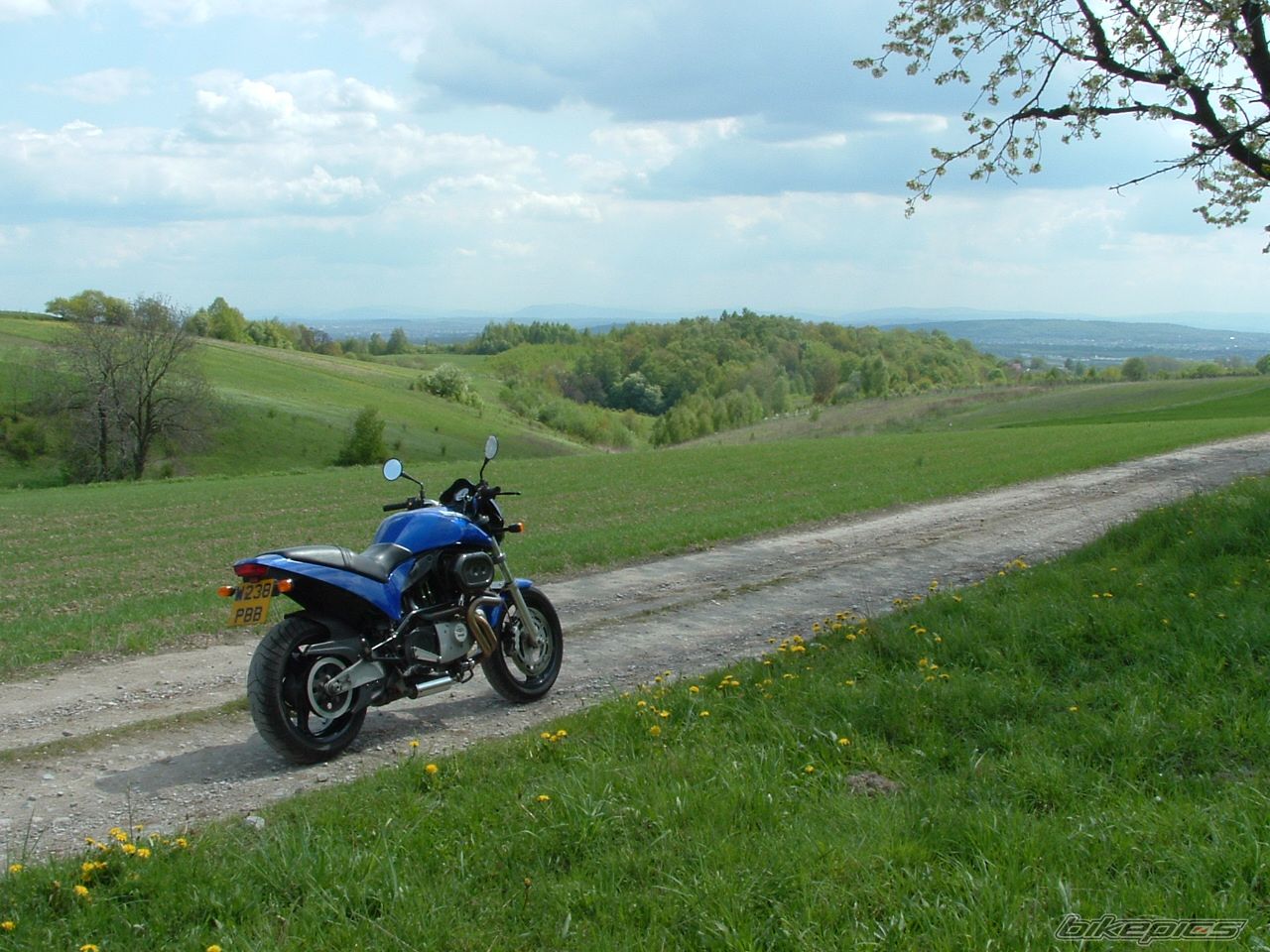 Photo 1277205