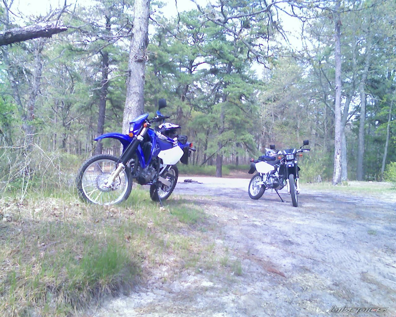 Bike Photo 1277219