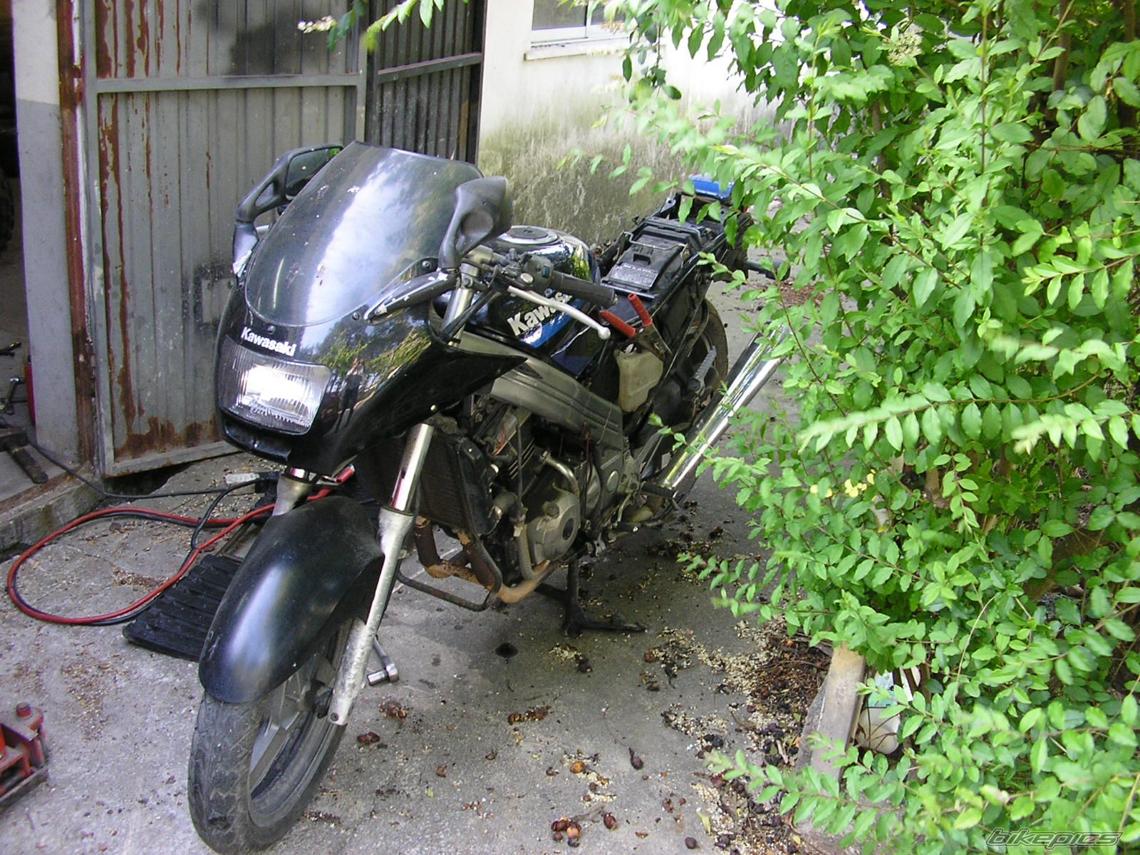 Photo 1277224