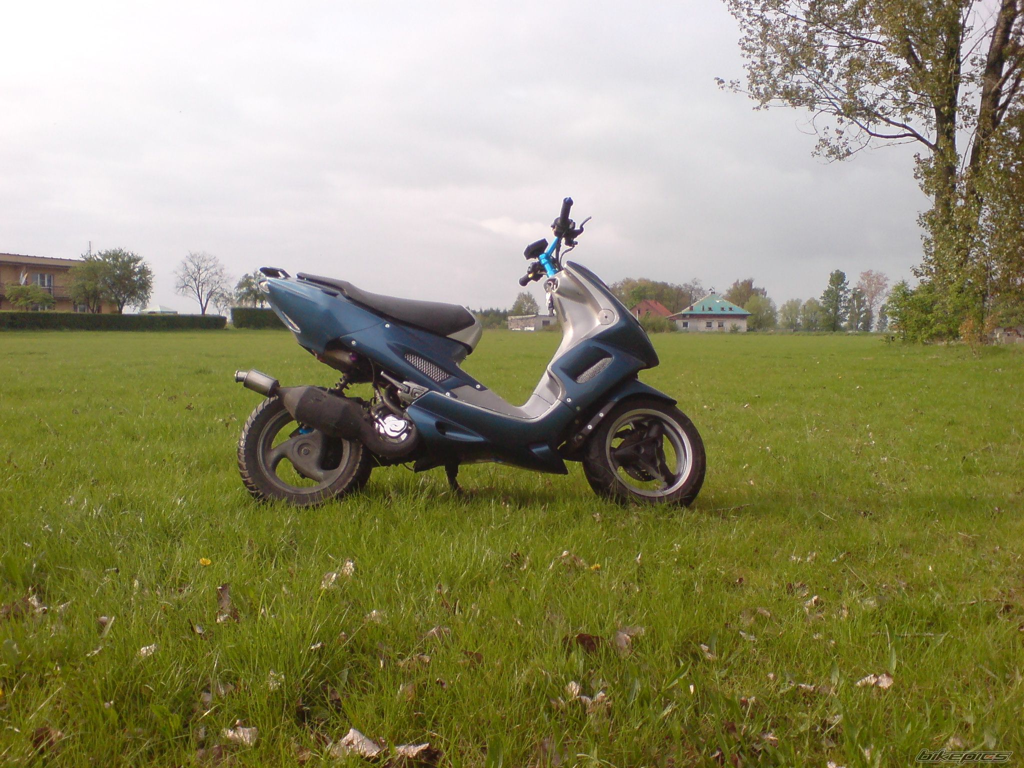 Photo 1277231
