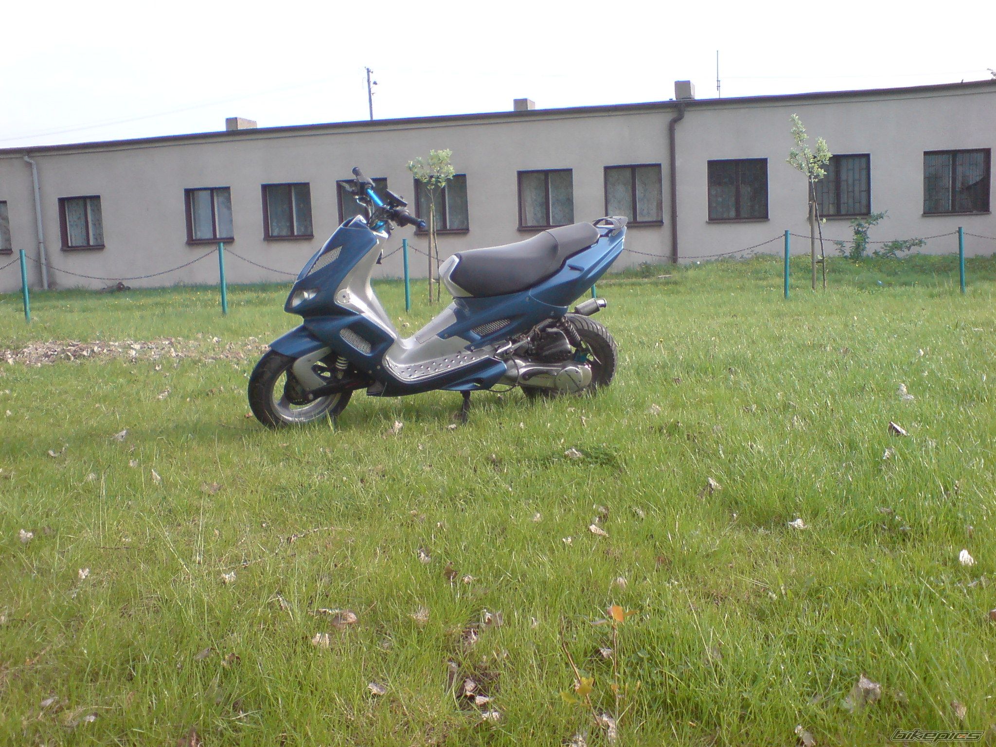 Photo 1277237